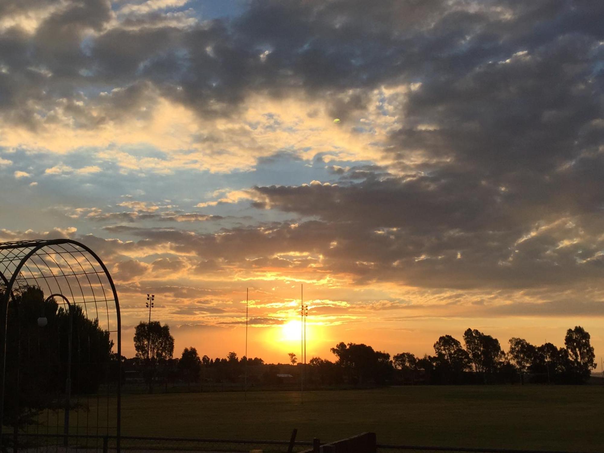 Junee Tourist Park Extérieur photo