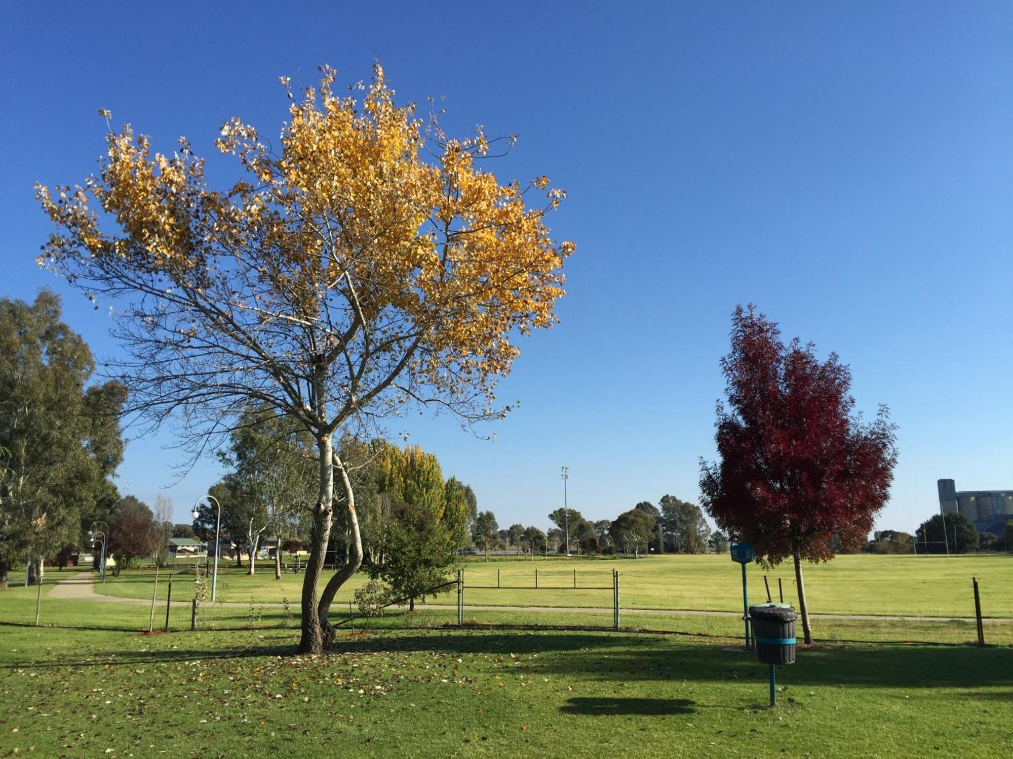 Junee Tourist Park Extérieur photo