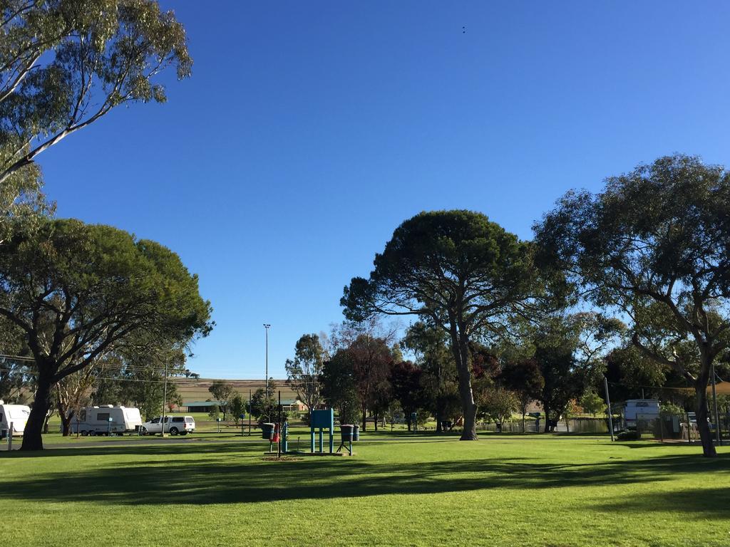 Junee Tourist Park Extérieur photo